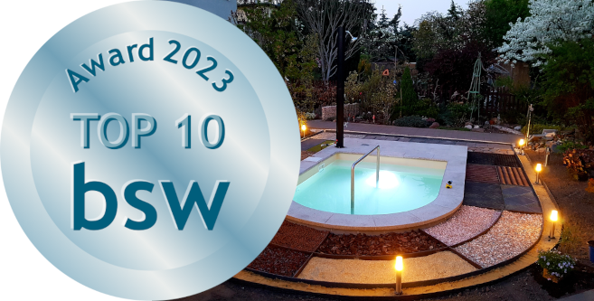 Award 2023 - BSW Banner